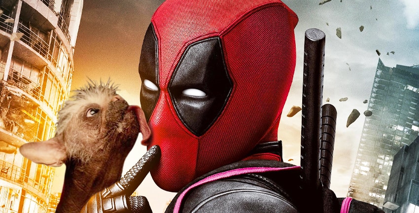 Deadpool 3, Dogpool, new image