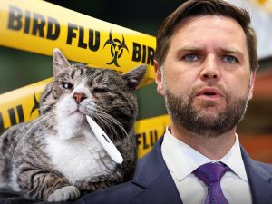 jd vance bird flu main