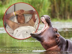 092524 man attacked by hippo main